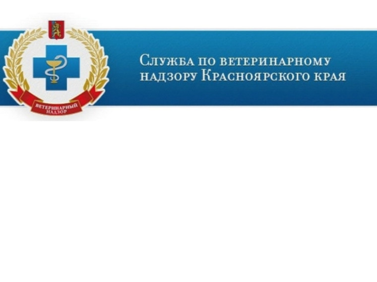 Об усилении мер. Об усилении мер.